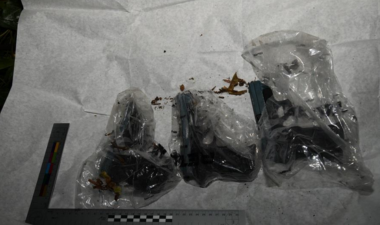 Three firearms in plastic bags